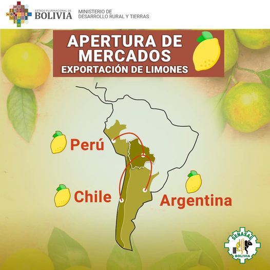 Senasag gestiona la exportación de limón a Perú, Chile y Argentina