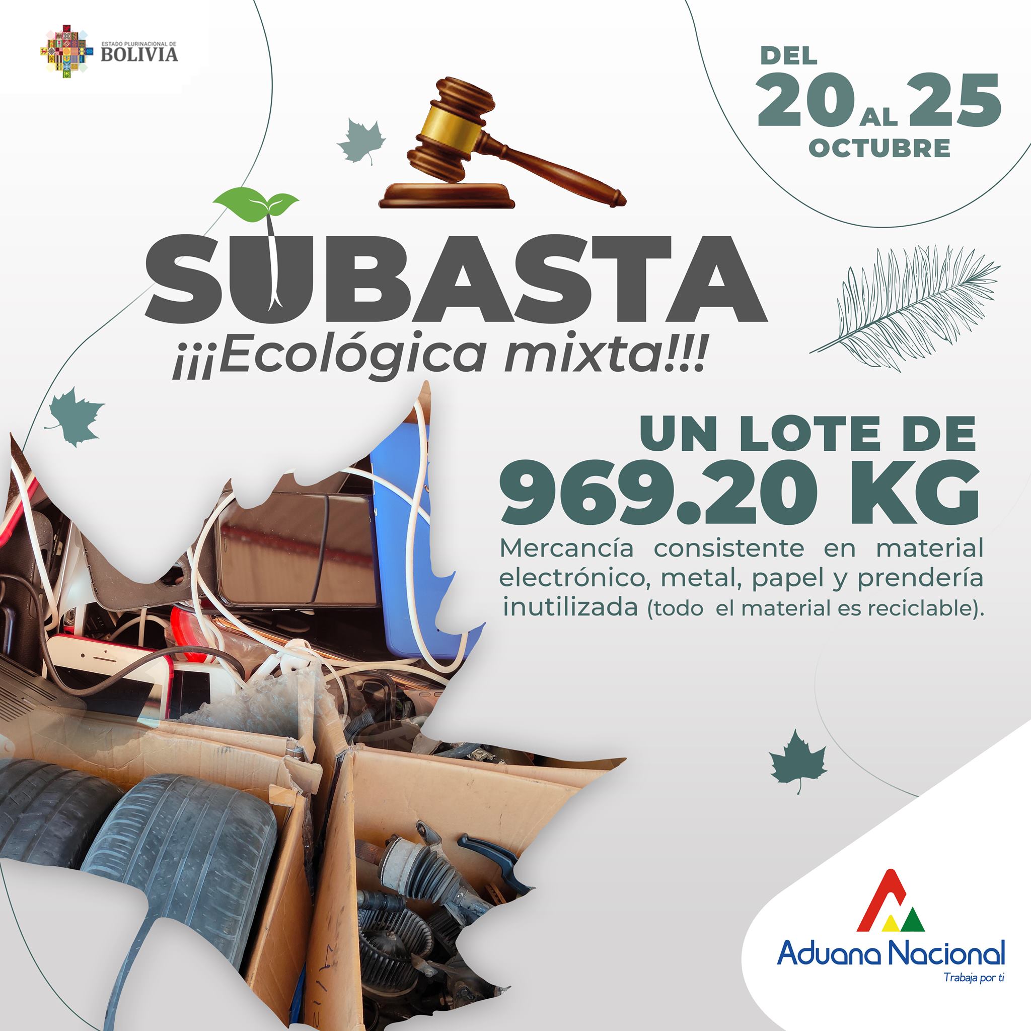 Aduana convoca a participar de una “Subasta Ecológica Mixta” este mes