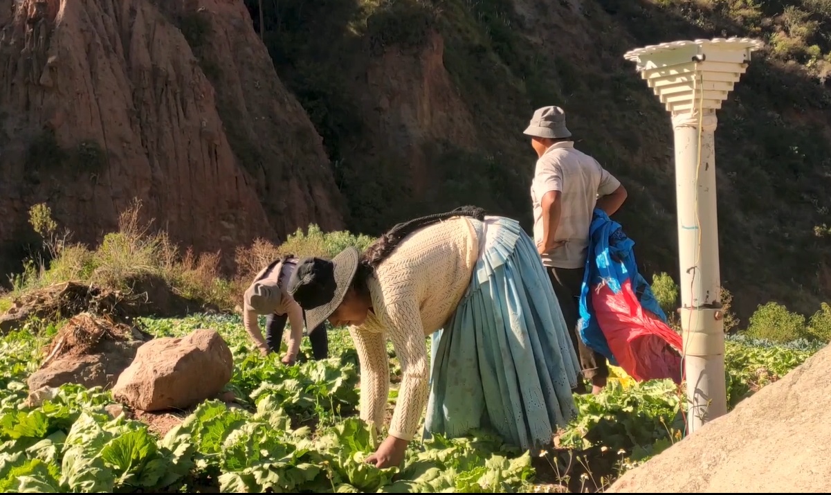 El BDP socializa sus herramientas de información productiva con los municipios