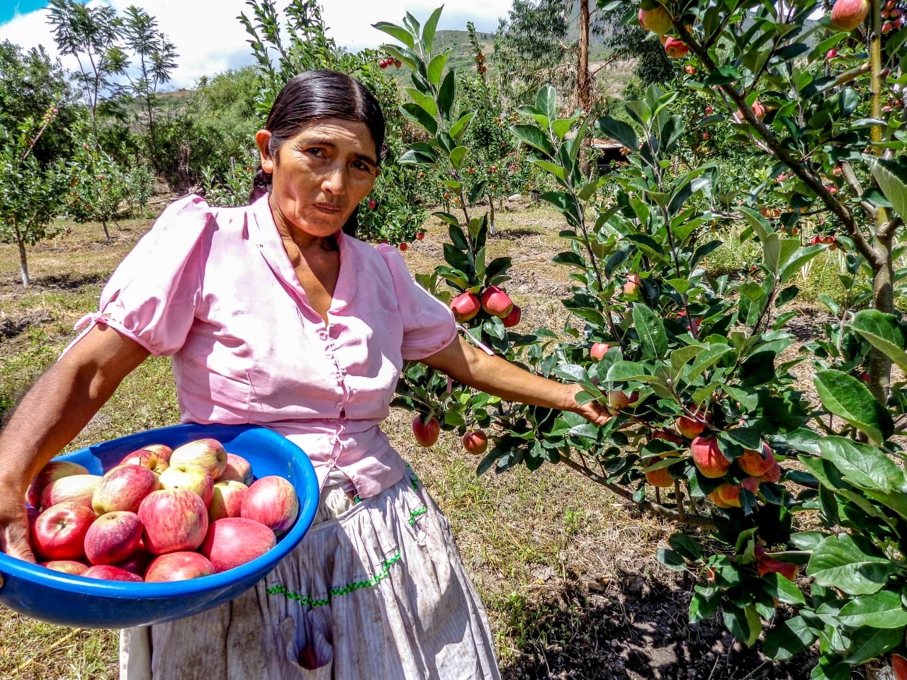 Prevén lanzar la convocatoria del fondo concursable de Bs 1.500 millones en octubre