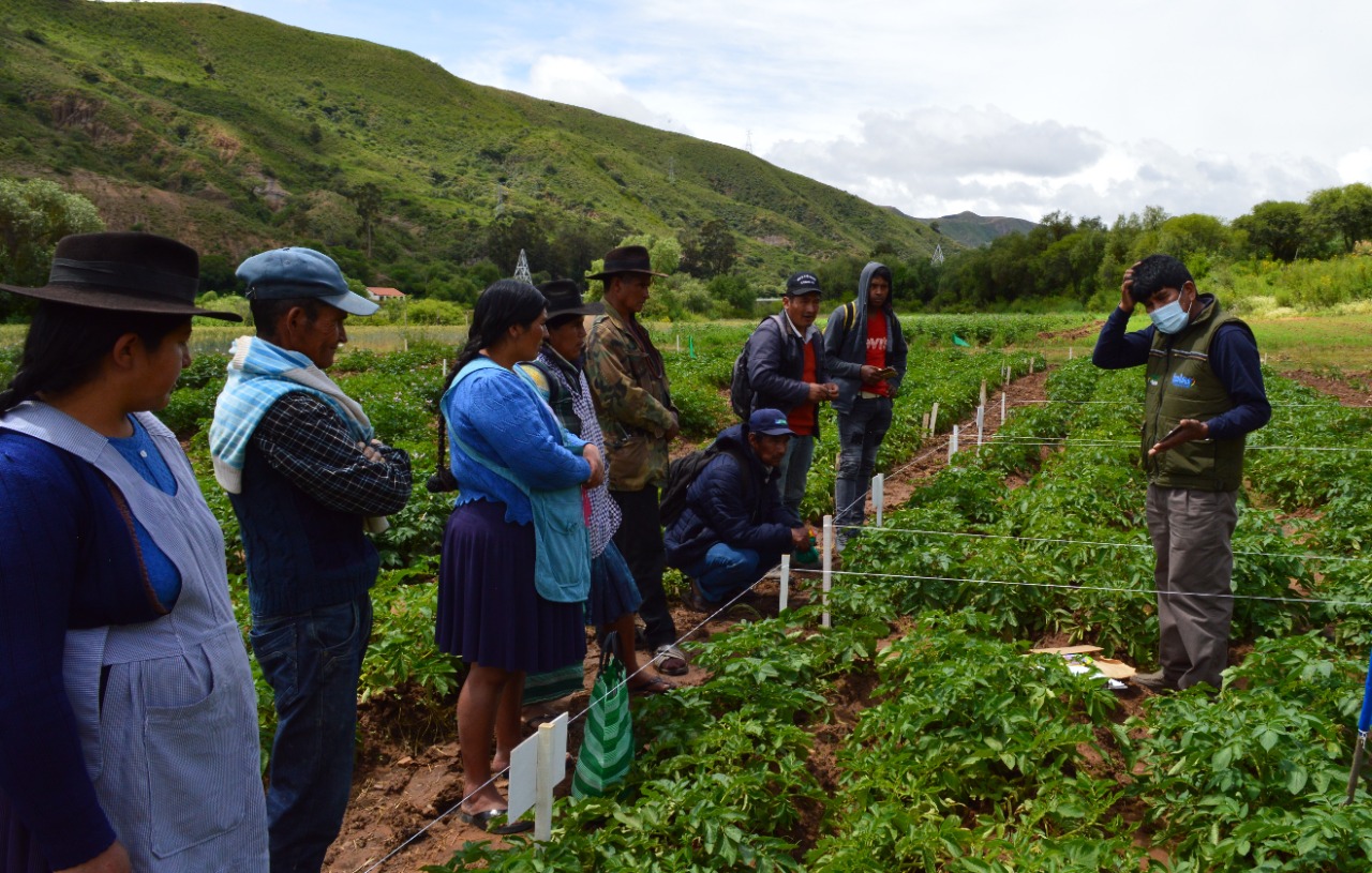 Gobierno promociona nuevas tecnologías para incrementar la producción de trigo y papa