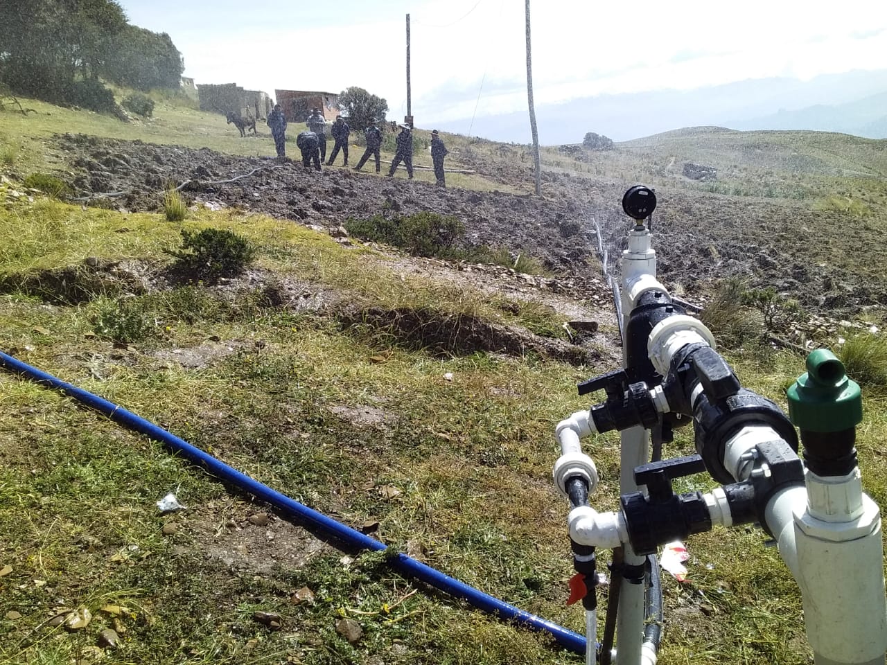 BDP brinda asistencia técnica en riego tecnificado a productores de Palca y Mecapaca
