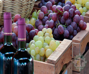 Senasag otorga certificación para la exportación de azúcar, vinos y singanis