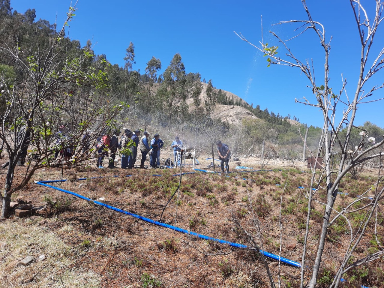 BDP: Capacitaciones en riego tecnificado benefician a productores de Tarabuco y Presto