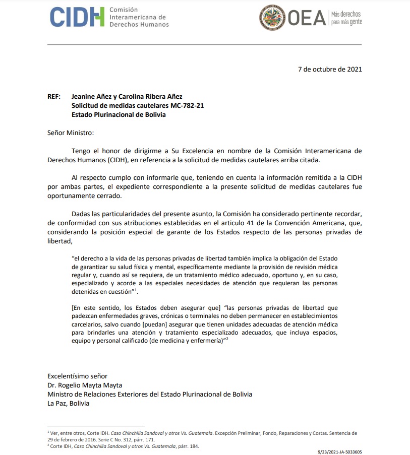 Del Castillo: Rechazo de la CIDH a solicitud de Áñez, demuestra que el Gobierno respeta los DDHH