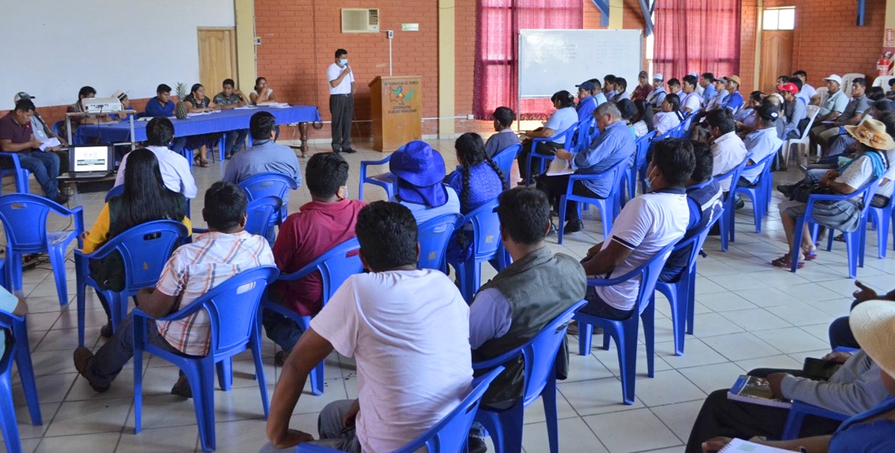 Gobierno invertirá Bs 185 millones para fortalecer la producción de banano y piña en el trópico de Cochabamba