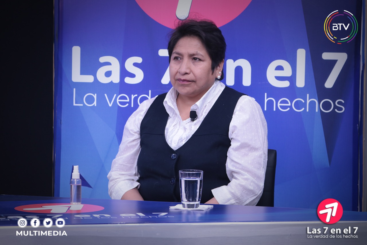 Vocal: TSE nunca entregó una credencial a Áñez para que asuma el cargo de Presidenta del Estado