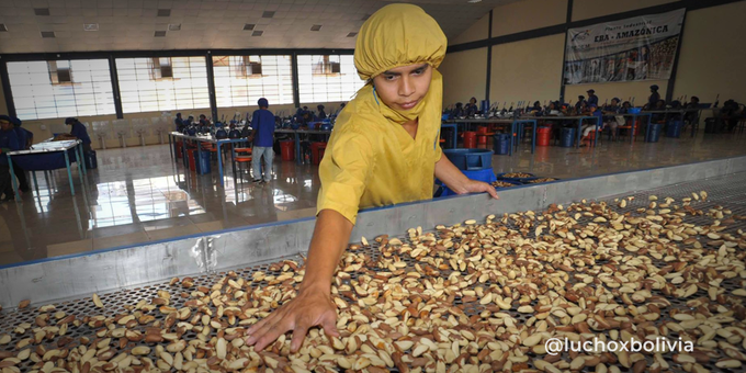 Presidente Arce destaca superávit comercial de Bolivia que llegó a $us 339 millones al primer trimestre