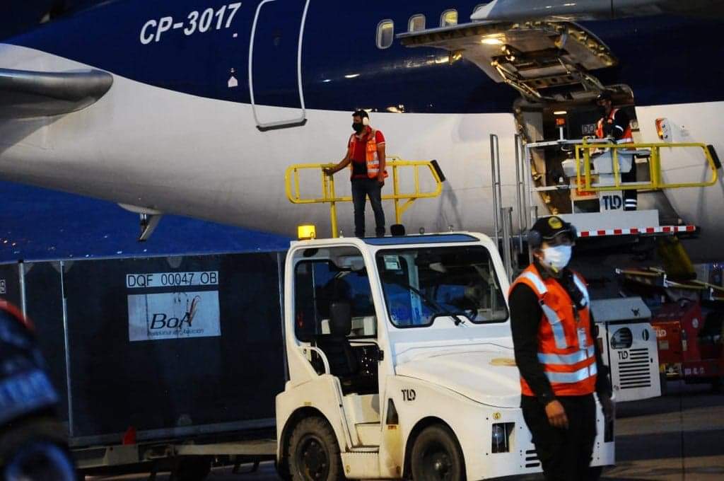 Viceministra de Comunicación asegura que distribución inmediata de nuevas vacunas continuará proceso de inmunización