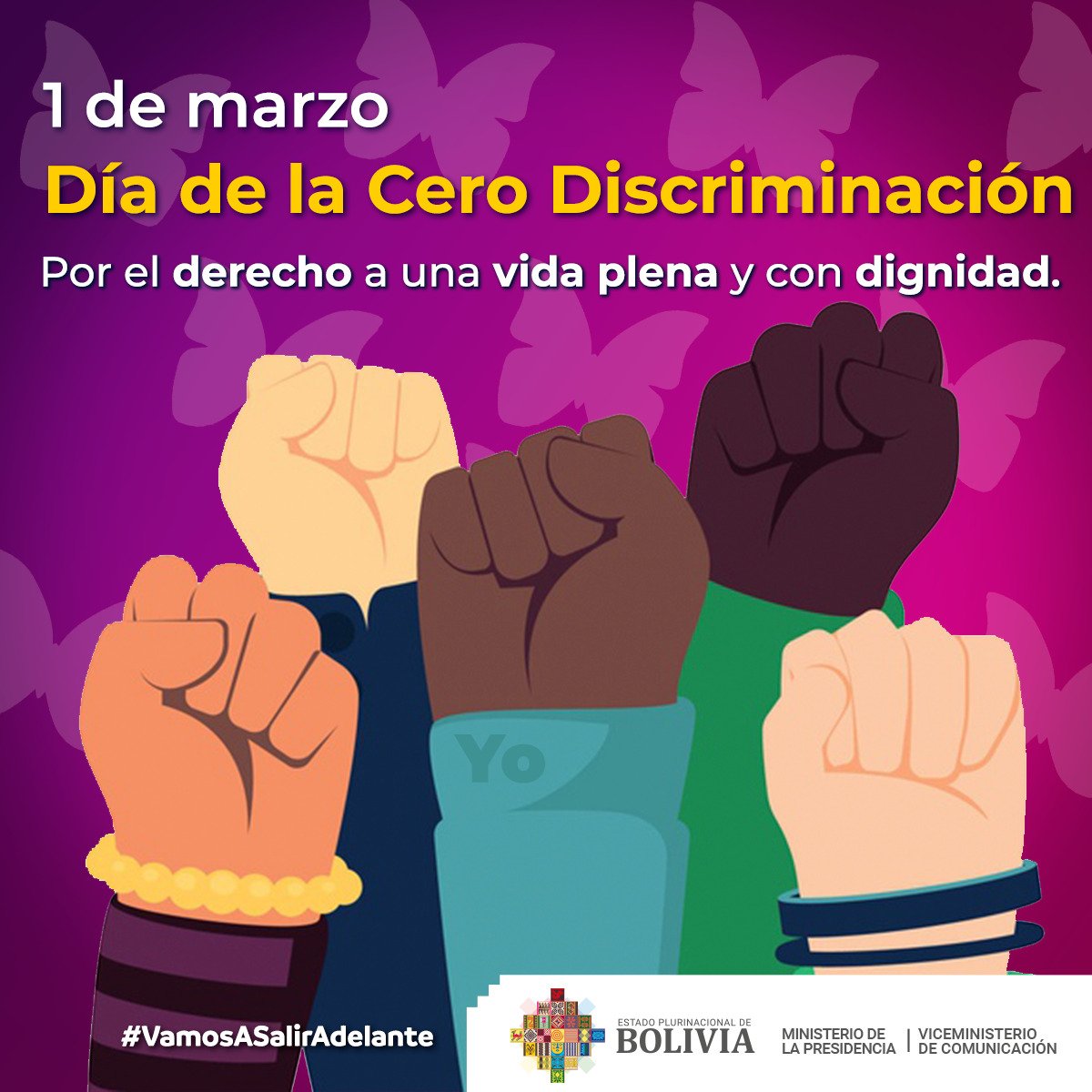 Viceministra Alcón afirma que Bolivia tiene el gran desafío de avanzar en la inclusión