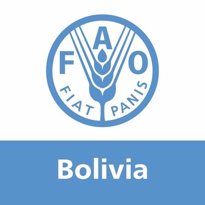 FAO afirma que el Gobierno boliviano tomó las medidas necesarias para evitar la escasez de alimentos en la pandemia