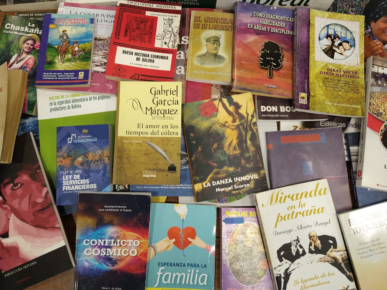 “Bolivia Lee 2021” cierra con 86.848 libros recolectados en todo el país