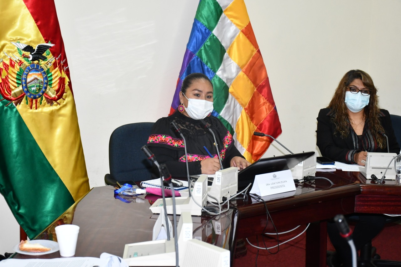 Cámara de Diputados trabaja en medidas para impulsar la reactivación económica en la frontera con Argentina