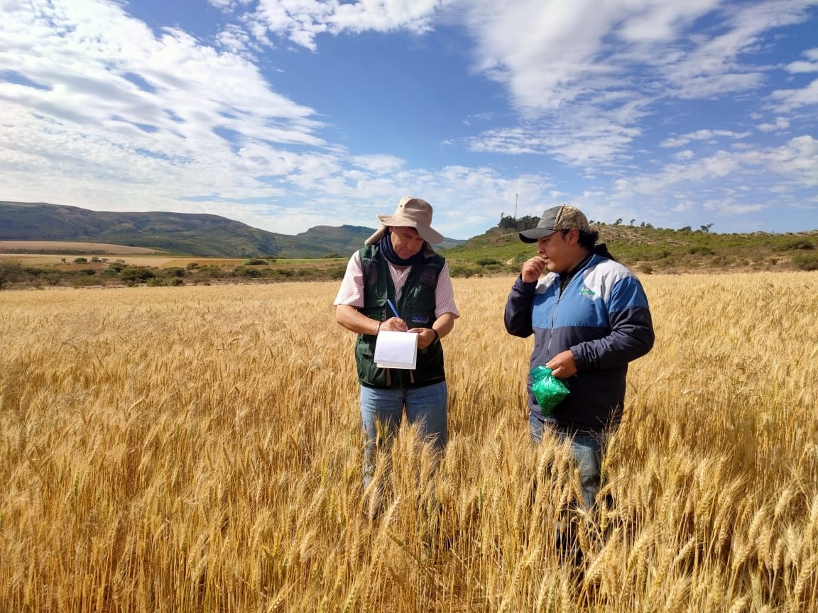 Iniaf presenta su Biblioteca Virtual y celebra sus 13 años de vida con logros en beneficio del país