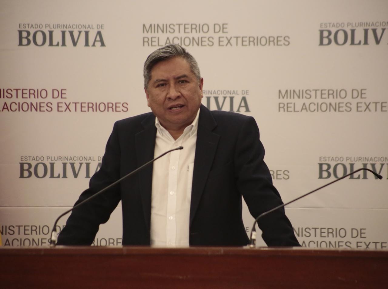 Canciller: Bolivia tiene alto nivel de reconocimiento por su lucha por la democracia, derechos humanos y justicia tras el golpe de Estado (amplia)