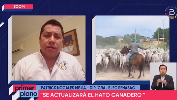 Gobierno invertirá más de Bs 200.000 en enero de 2022 para cuantificar cabezas de ganado a nivel nacional