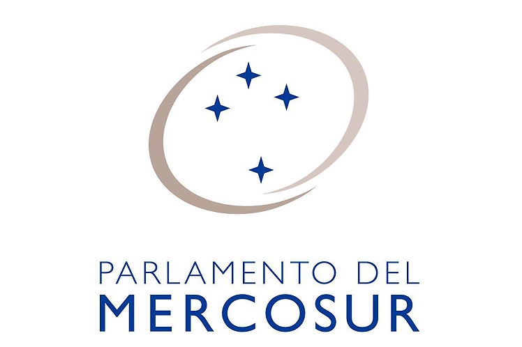 Representación supraestatal de Bolivia pide al Parlasur conformar una comisión que investigue el golpe de Estado de 2019