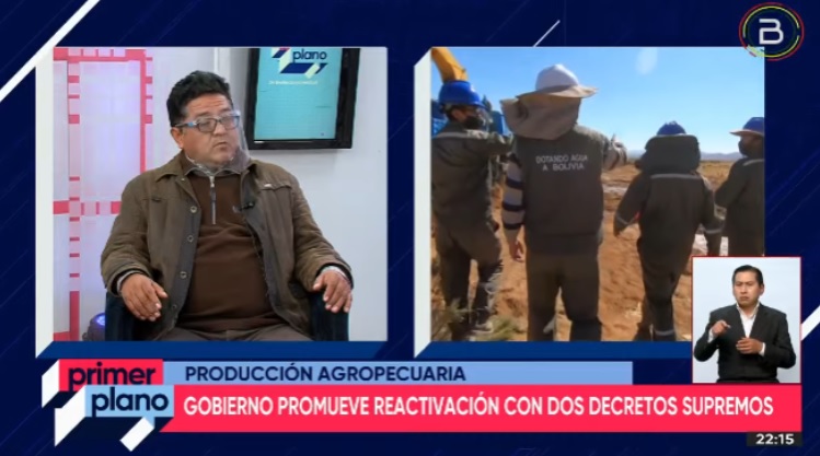 Reactivación productiva y soberanía alimentaria: Nacen los programas de hortalizas, ganado bovino, plátano y piña