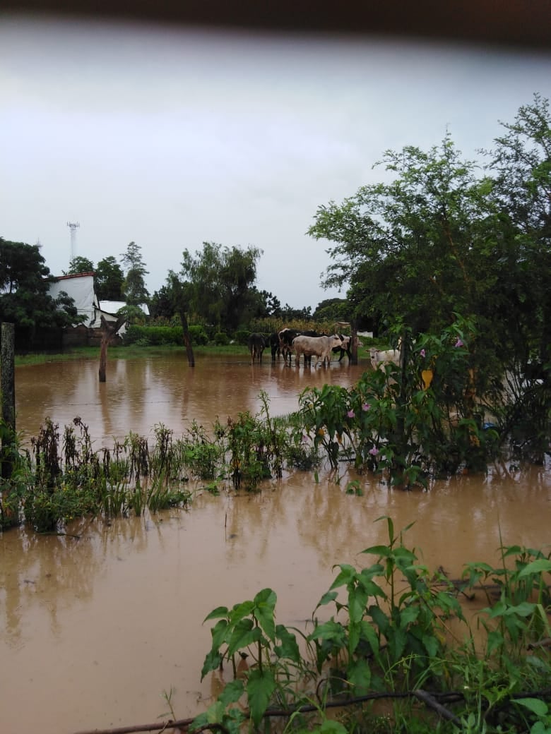Registran crecidas de dos ríos en Santa Cruz