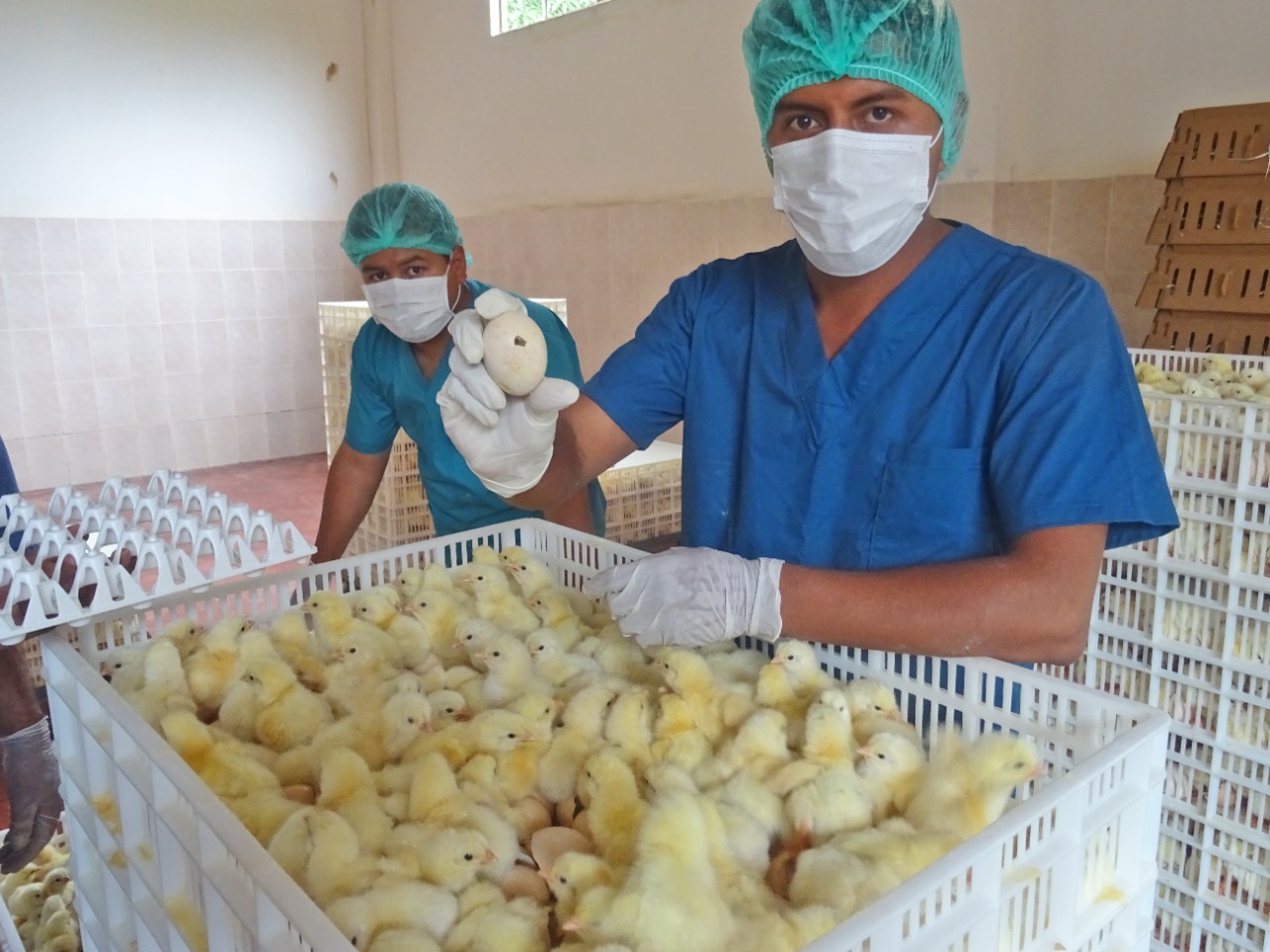 Créditos SIBOLIVIA fortalecen a unidades productivas del área rural con más de Bs 34 millones