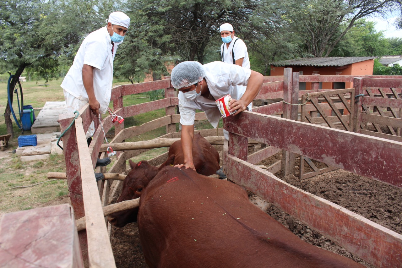Senasag otorga autorización sanitaria para construcción de matadero en Villamontes