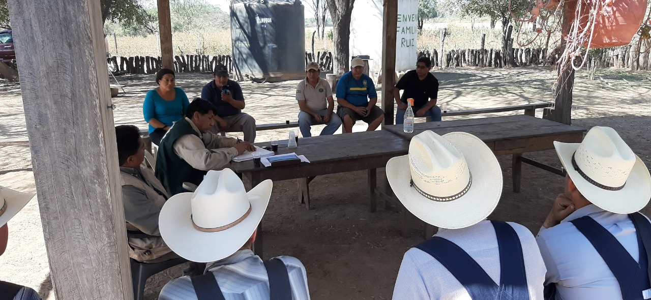 Senasag emite certificado para la exportación de 3.000 toneladas de maíz a Paraguay