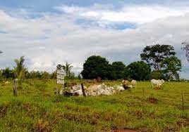 INRA: Reunión de tierras promovida por Camacho no tiene validez legal