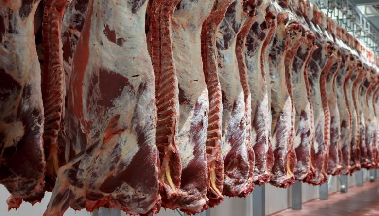 Senasag implementará controles para evitar que ganado vacuno sea trasladado a las fronteras