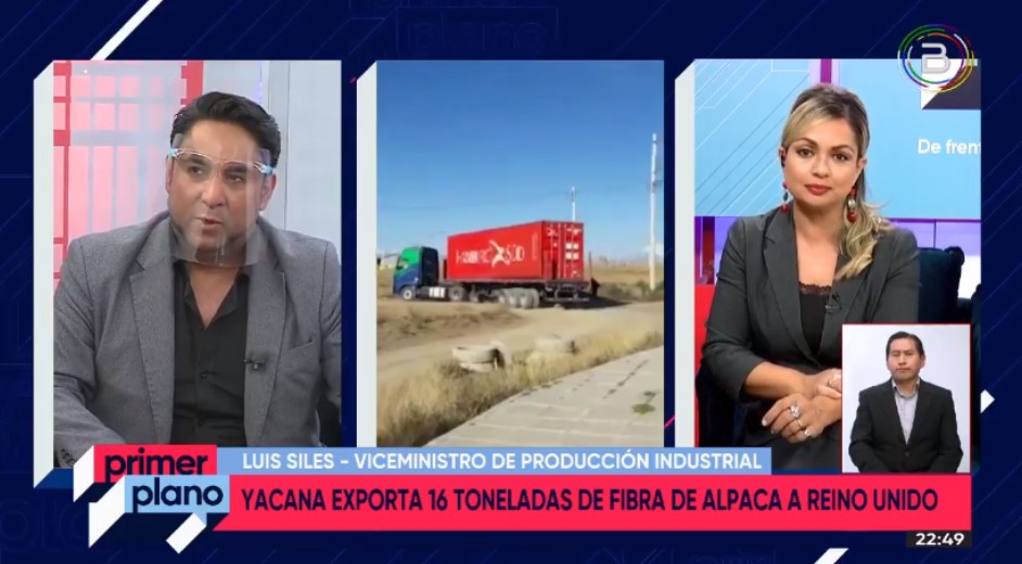 Reactivan la empresa Yacana con la exportación de 16 toneladas de fibra de camélidos al mercado inglés