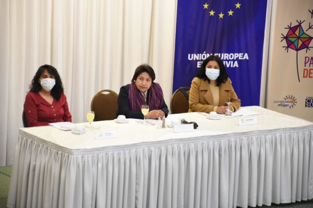 OEP destaca participación de la mujer en la política boliviana