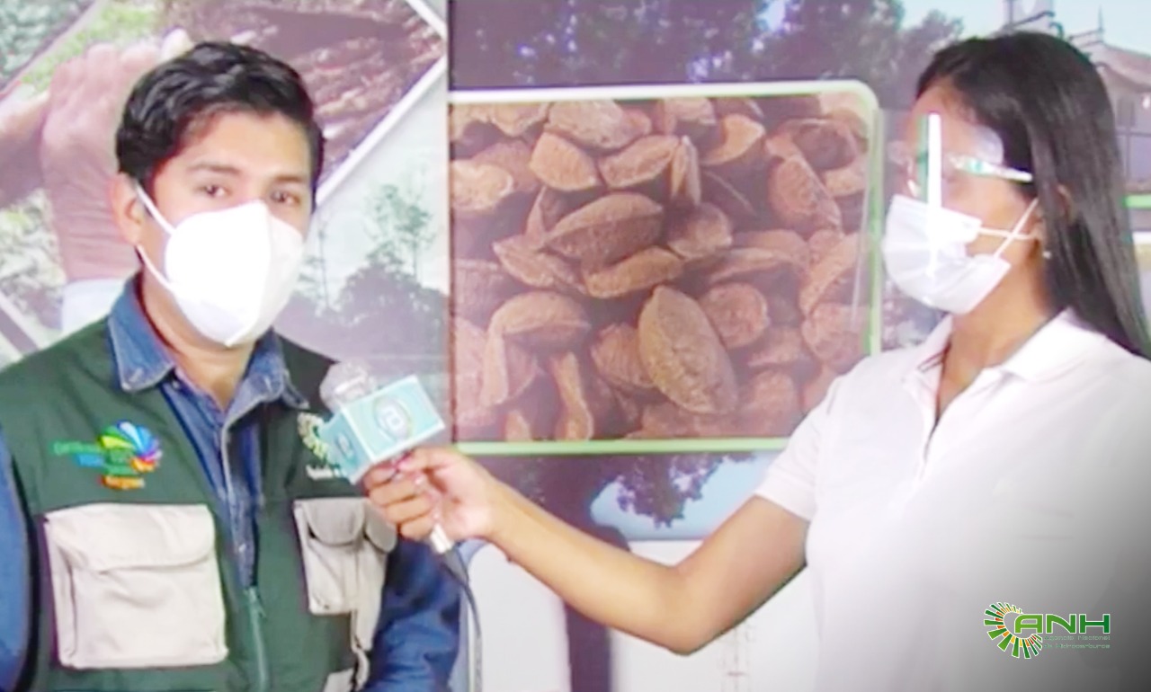 ANH anuncia la creación de la Dirección de Observación Energético Regulatorio en Pando