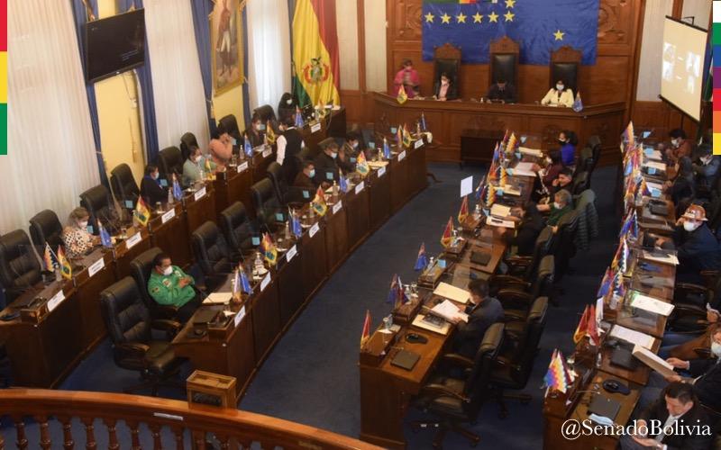 Senado aprueba ascensos en las Fuerzas Armadas y deriva informe al Ejecutivo