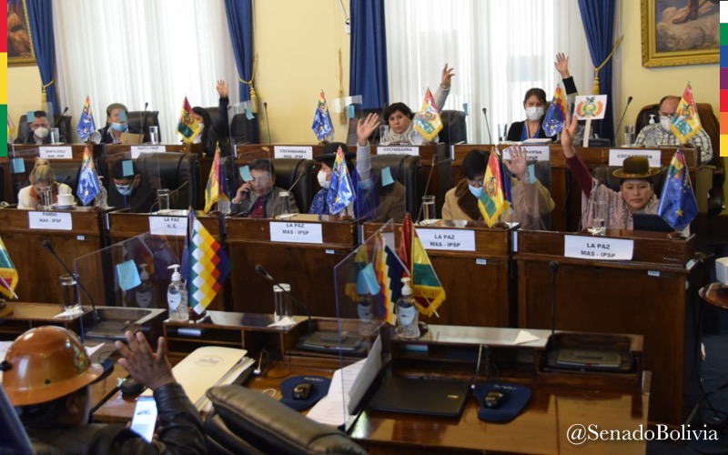 Senado aprueba declaración camaral en rechazo a la injerencia de Almagro en asuntos internos de Bolivia