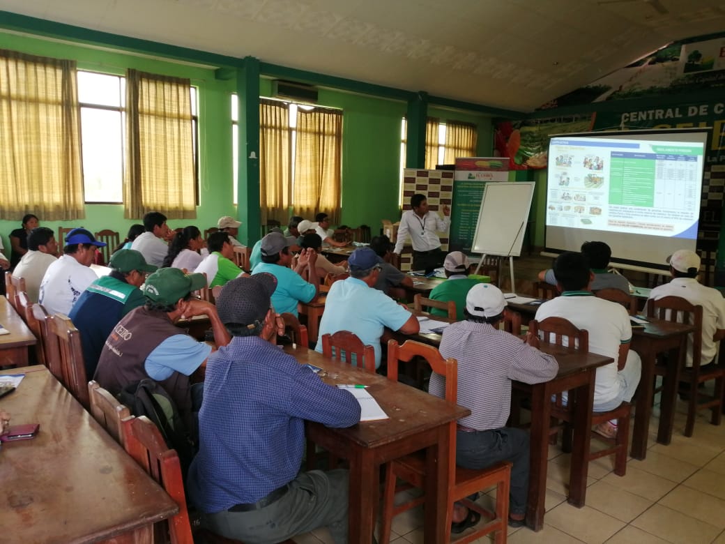 BDP: El 98,6% del crédito SIBOLIVIA fue colocado al sector microempresario