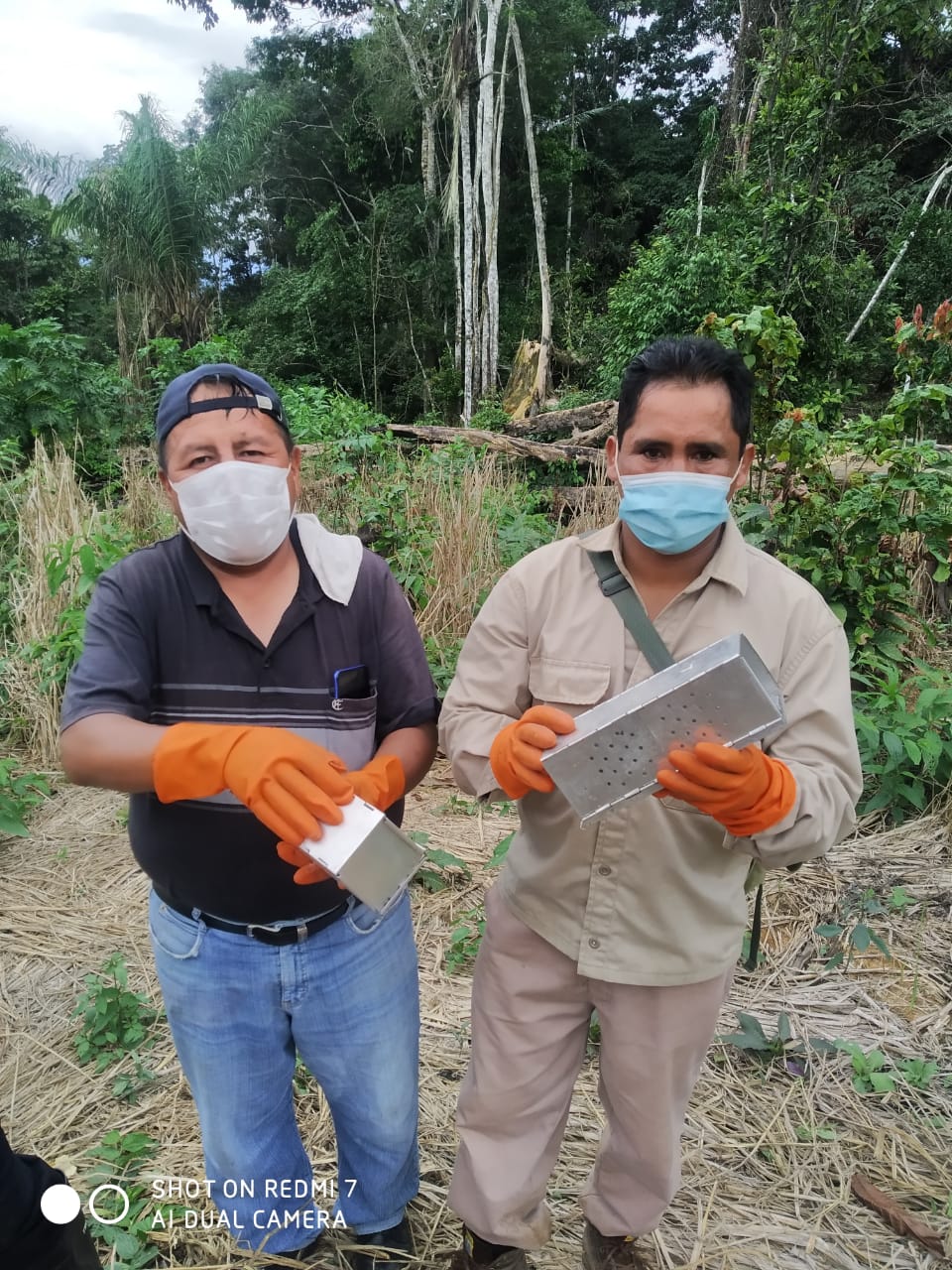 Ministerio de Salud interviene zona donde se presentó caso de arenavirus