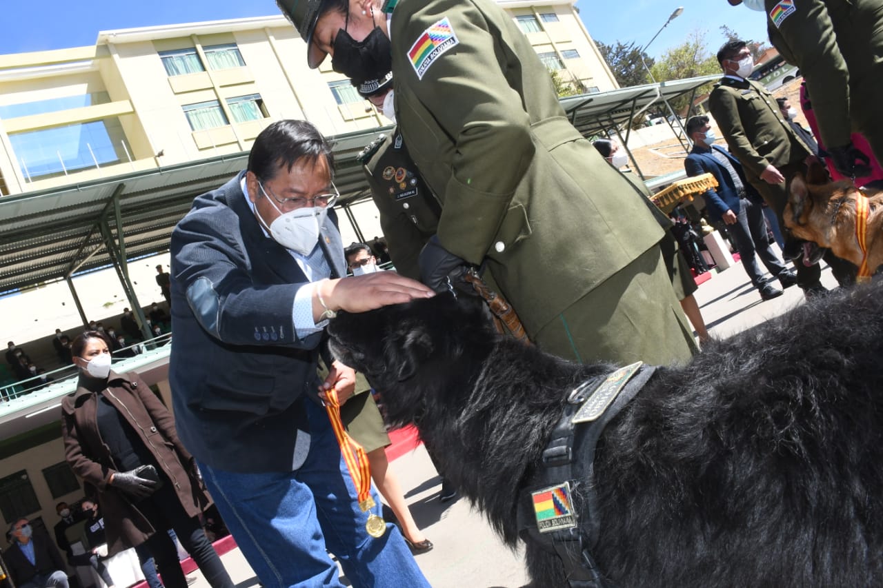 Presidente Arce rinde homenaje y condecora a canes policías