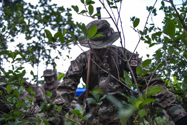 Cultivos de coca en áreas protegidas incrementaron de 315 a 454 hectáreas en 2020