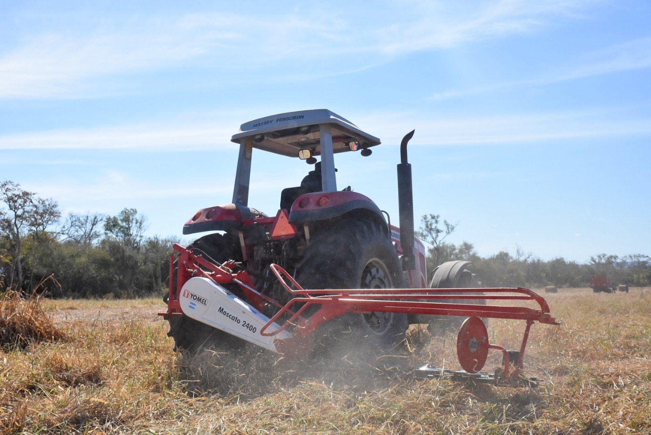 Gobierno implementa norma para incentivar al sector productivo del país