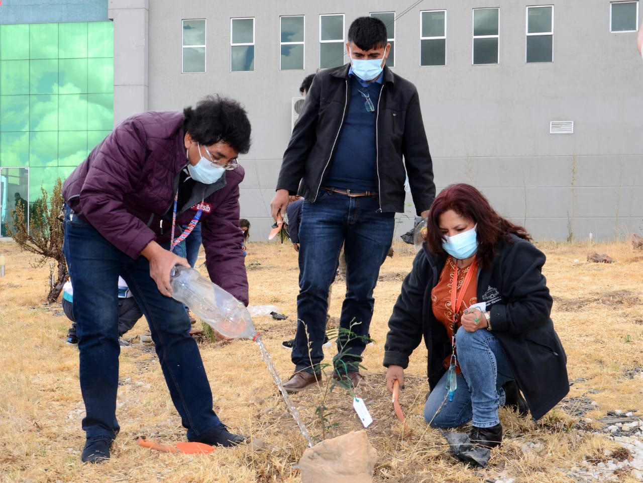 Vicepresidencia foresta con 250 árboles predios de la Planta Ensambladora Quipus