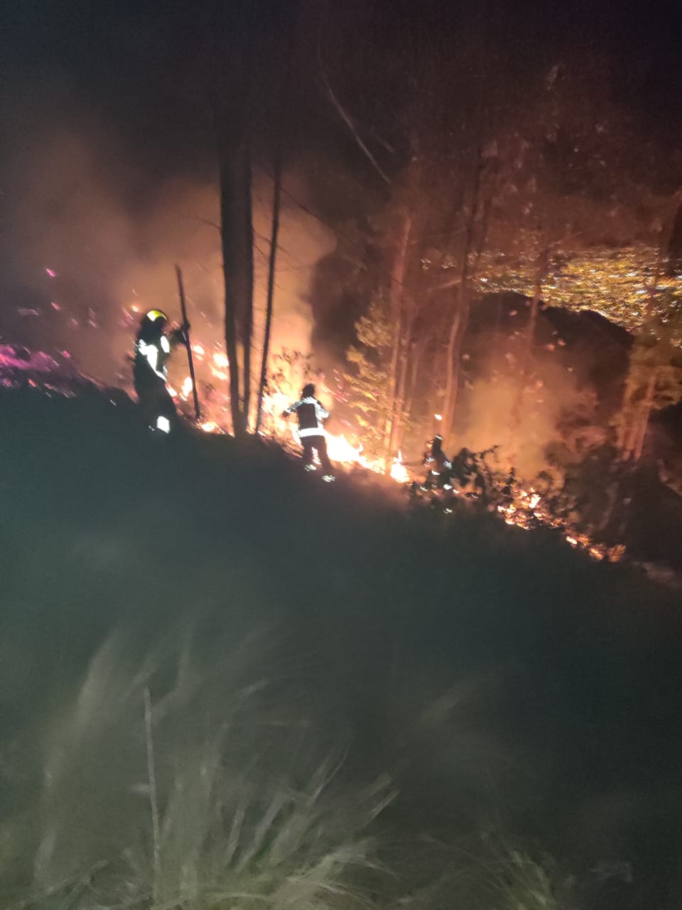 Reportan cerca de 20 hectáreas afectadas por incendio forestal en el Parque Tunari de Cochabamba