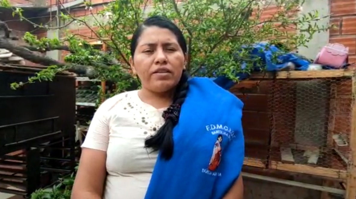 Representante de Bartolinas felicita a Viceministra de Comunicación por denunciar daño económico a medios estatales