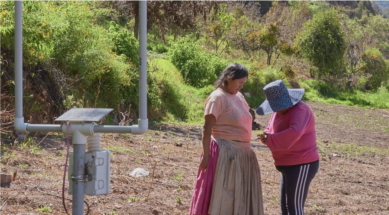 Fundación británica premia un proyecto del BDP para disminuir la pérdida de cultivos de lechuga