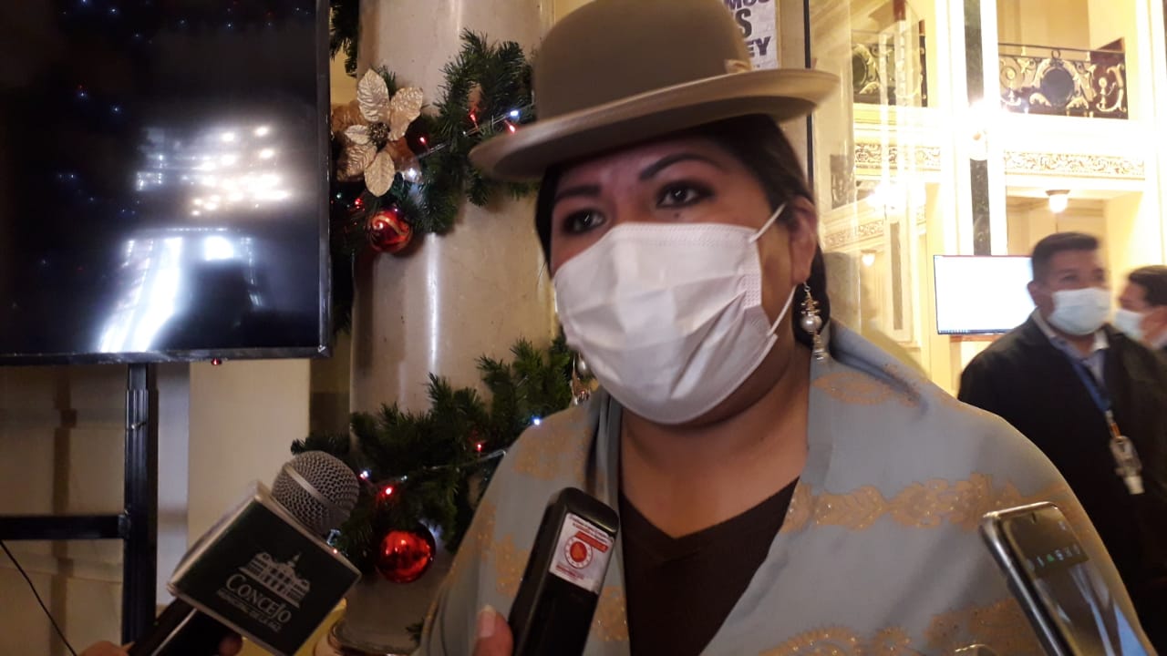 Vicepresidenta del Concejo denuncia que el Ejecutivo Municipal no trabaja con responsabilidad por La Paz