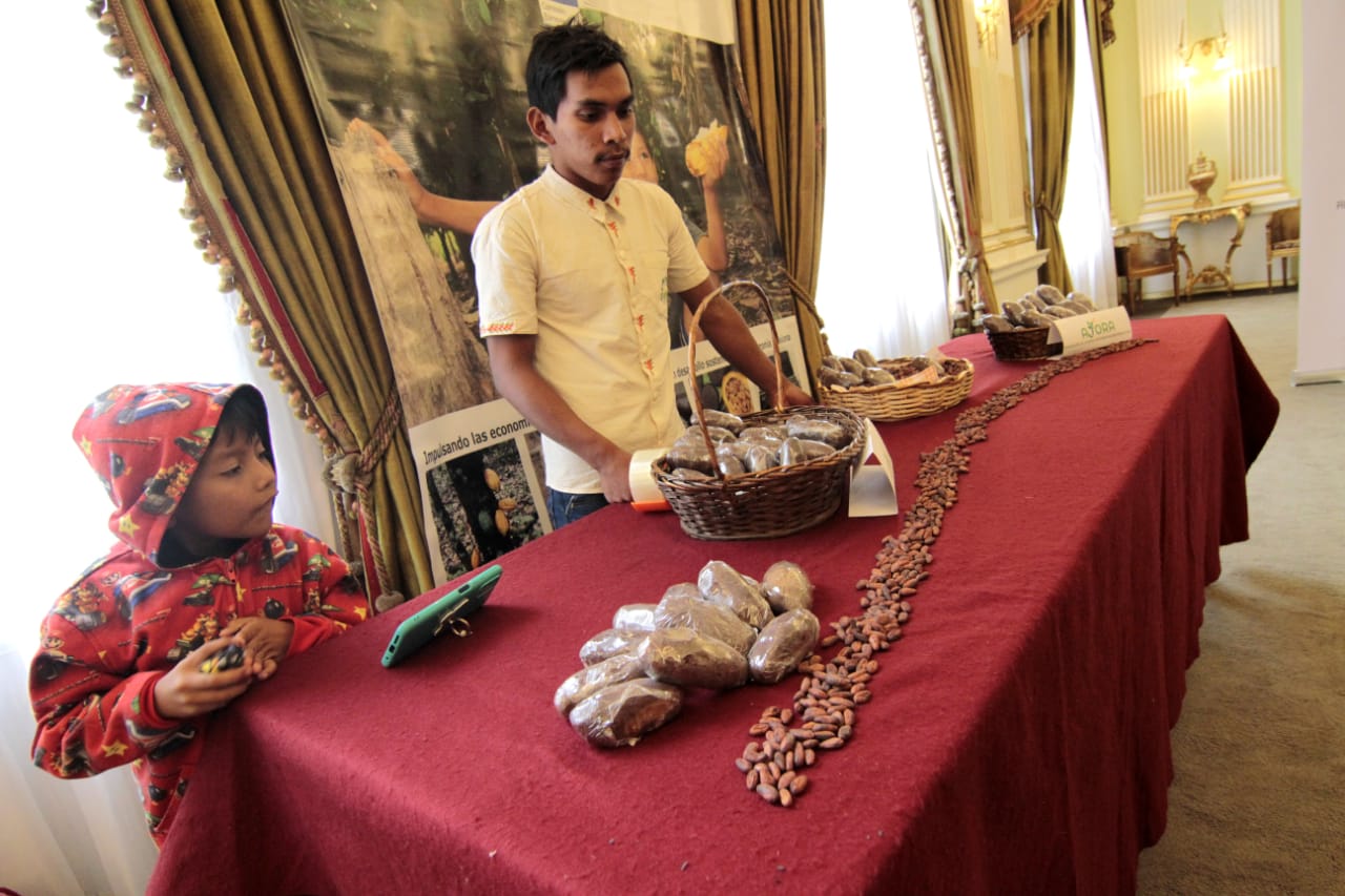 El cacao boliviano entre los mejores del mundo