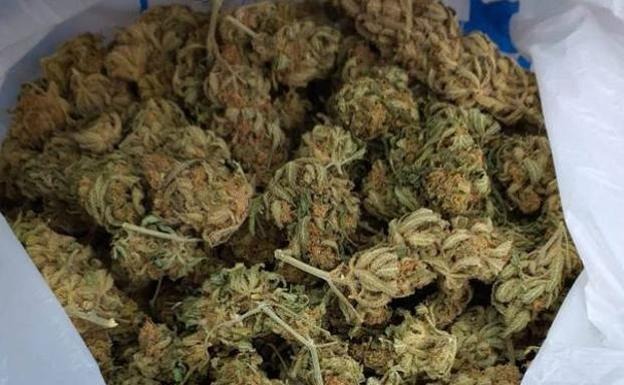 Justicia sentencia a 14 años de prisión a sujetos que tenían dos yutes de marihuana en Bermejo