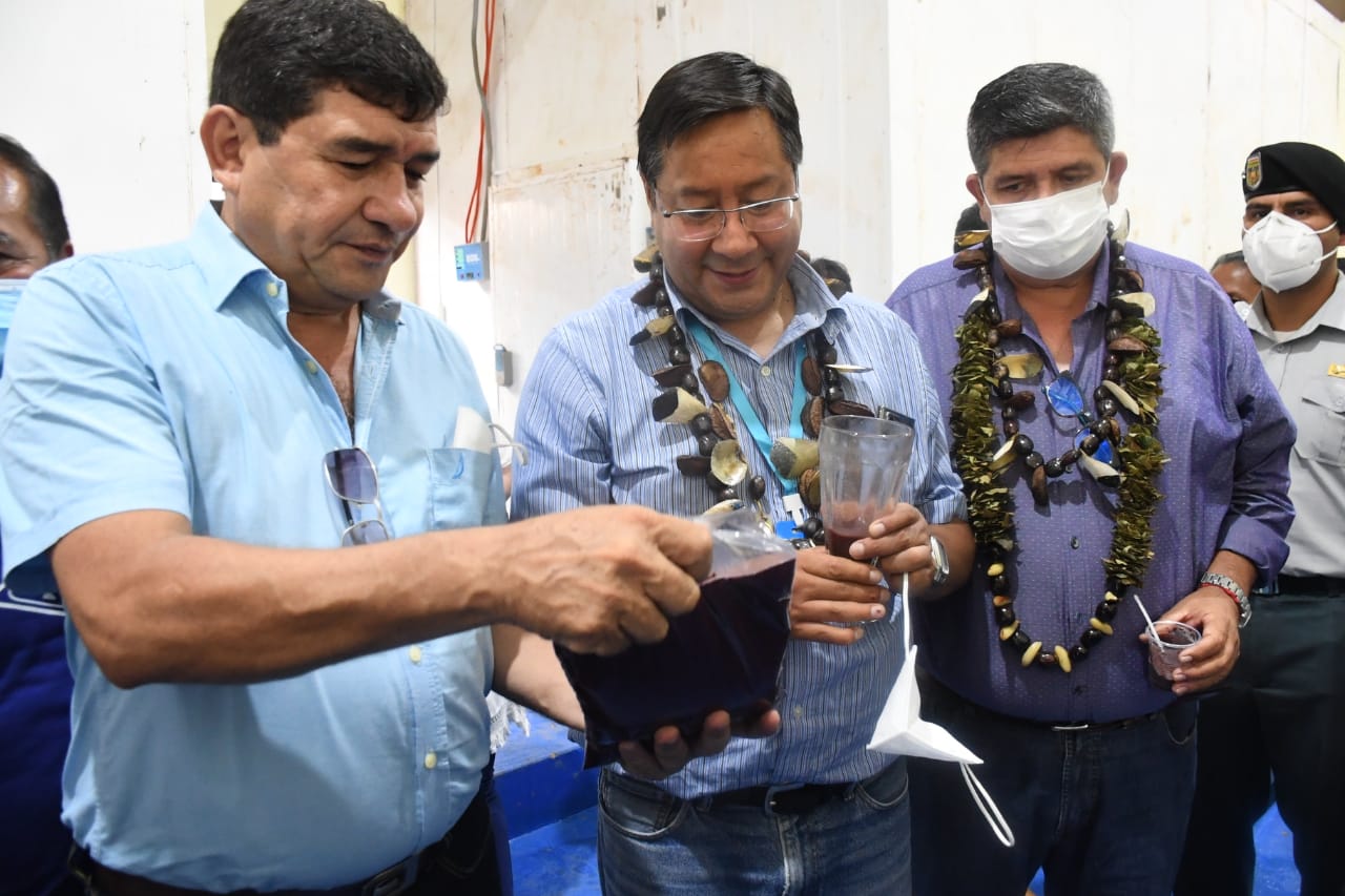 Presidente Arce entrega una planta procesadora de asaí en el municipio de Sena, en Pando (amplia)