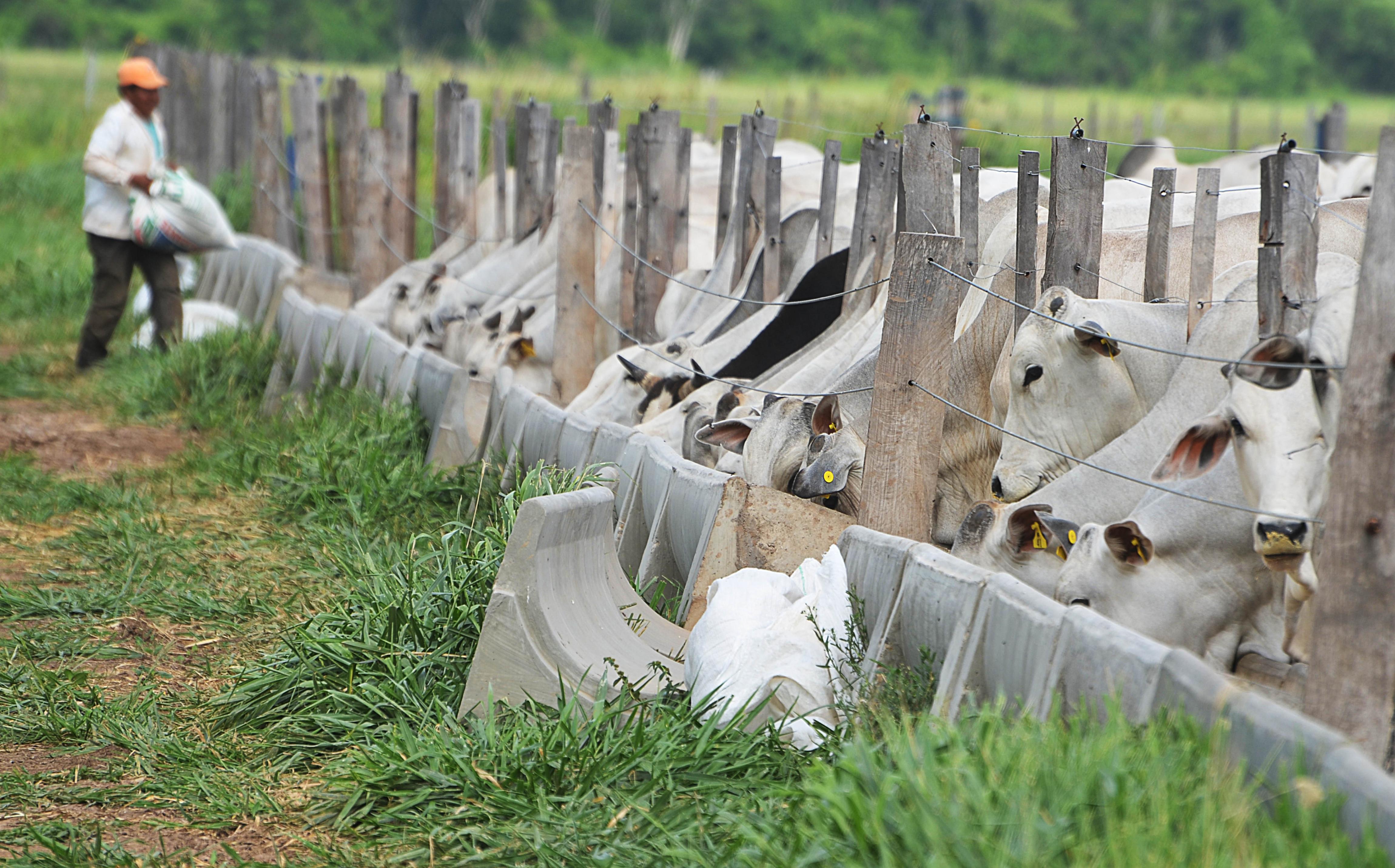 El BDP aporta Bs 267,5 millones y asistencia técnica para el desarrollo productivo de Beni