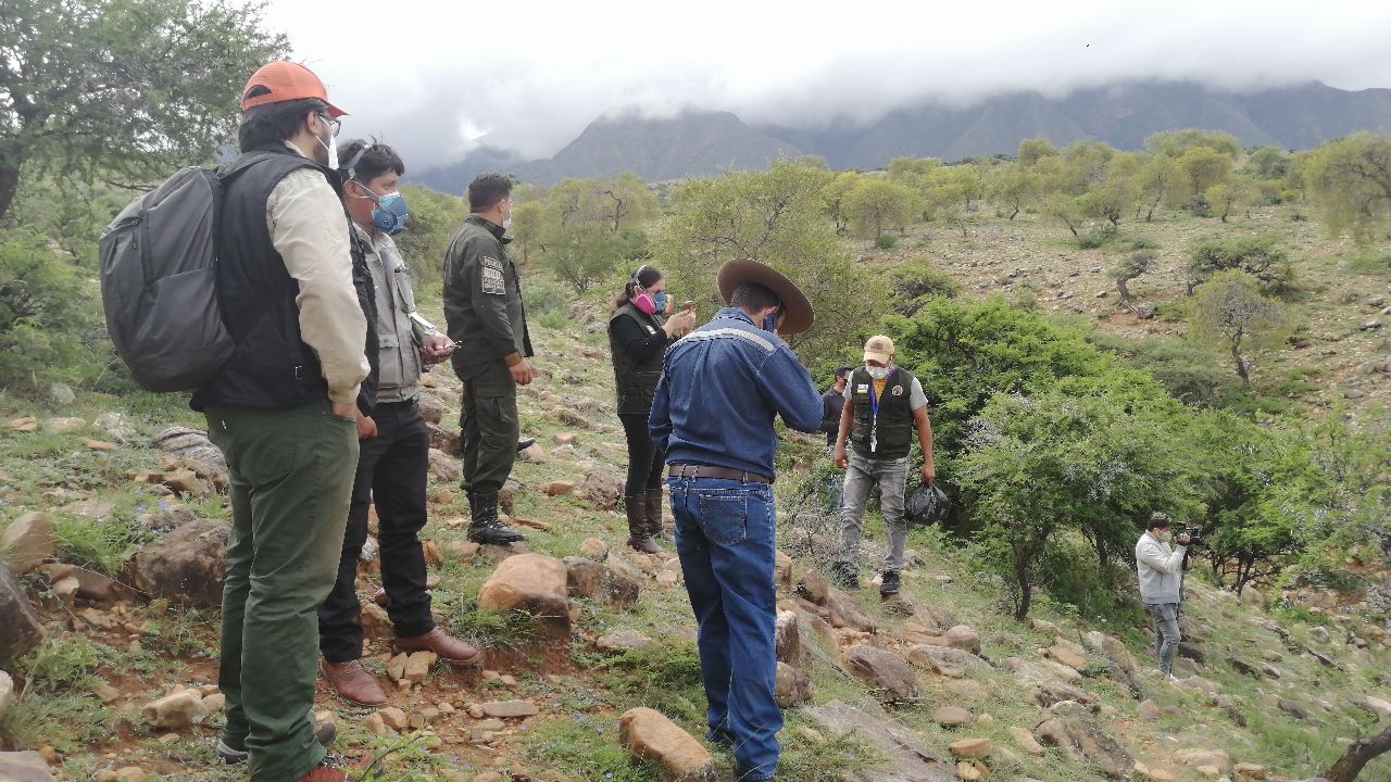 Comunarios alertaron a la Alcaldía de Tarija sobre la muerte de los 34 cóndores pero los funcionarios no hicieron nada
