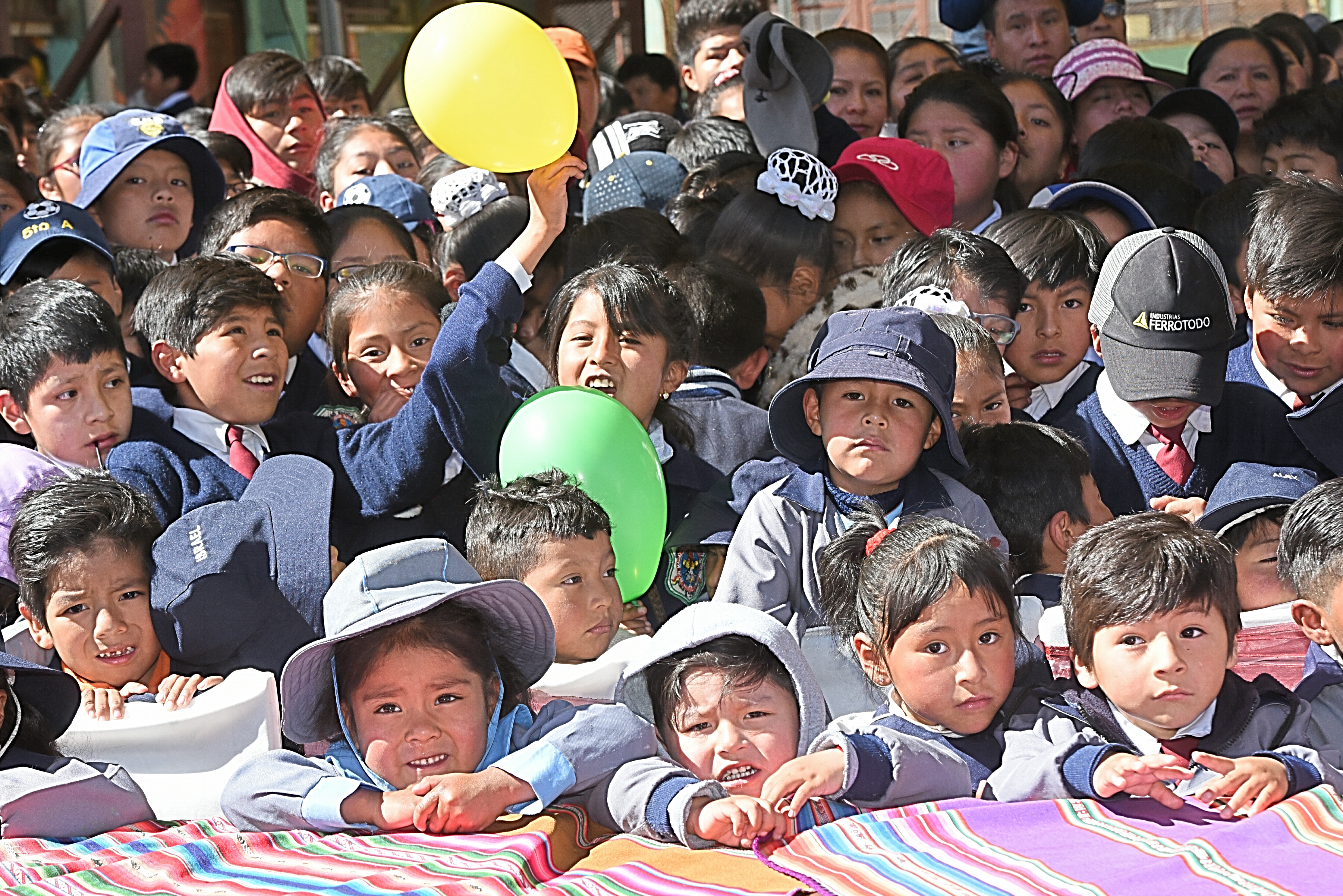 Presidente Arce resalta la entrega de 118.609 textos educativos para estudiantes de Potosí, Oruro y La Paz