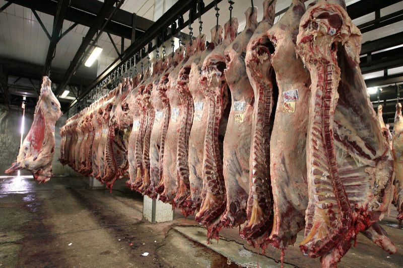 Gobierno suspende exportaciones de carne bovina para garantizar el abastecimiento en el mercado interno